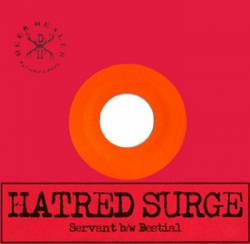 Hatred Surge : Servant - Bestial